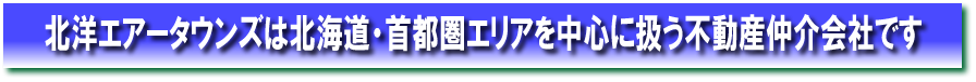 北洋エアータウンズの事業特色